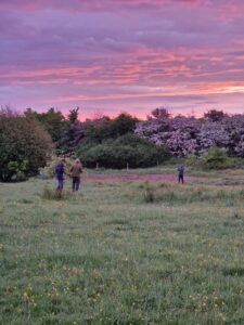 A pruple and orange sunrise over trees. Birders walking in the distance.