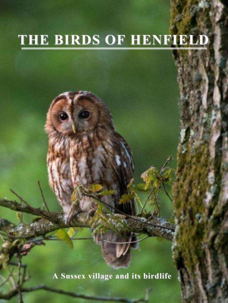 The Birds of Henfield book cover