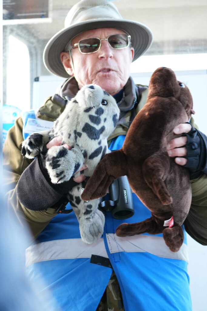 John Arnott a volunteer at the Chichester Harbour Conservancy, holding two soft toy seals.