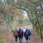 A group of birdwatchers walking away from the camera