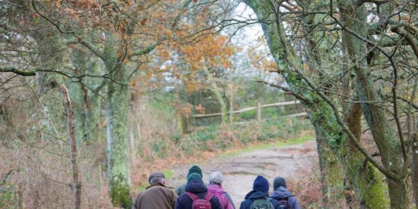 A group of birdwatchers walking away from the camera
