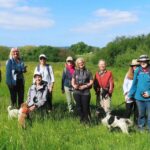 A group of birders