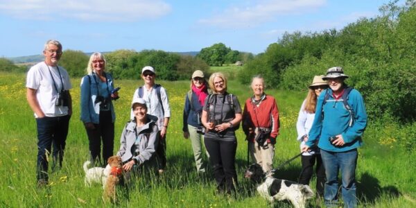 A group of birders